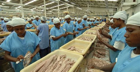 rd tuna canners ltd.